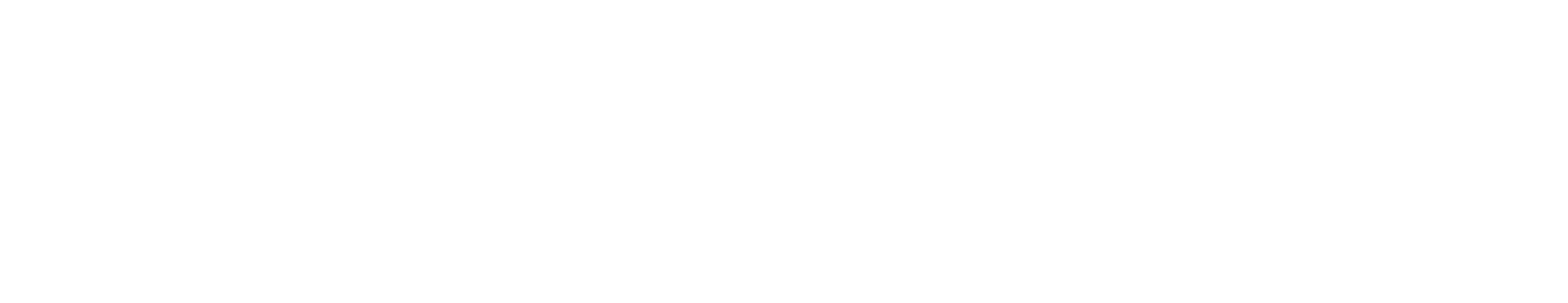 深圳引领者数码电子股份有限公司